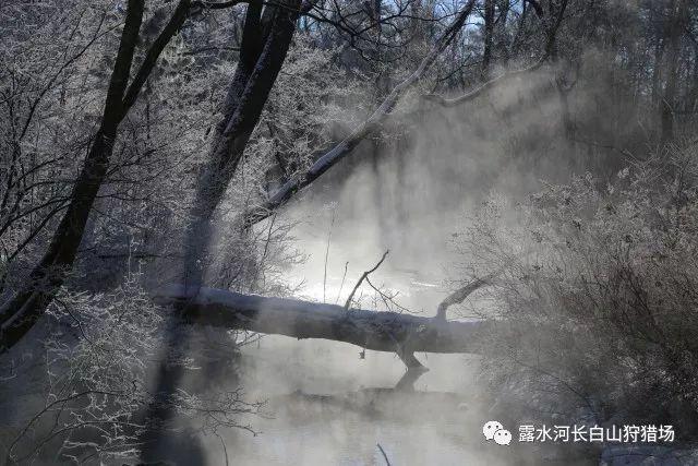 面条都有什么做法游戏画面
