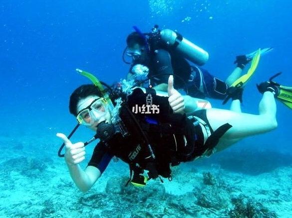 沪江开心词场