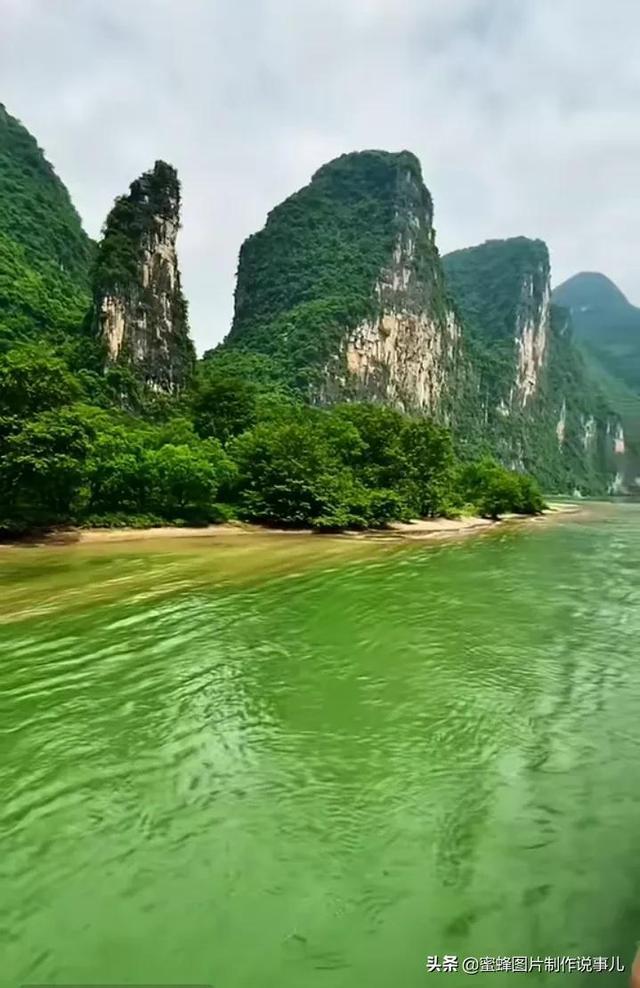 一起捕鱼吧