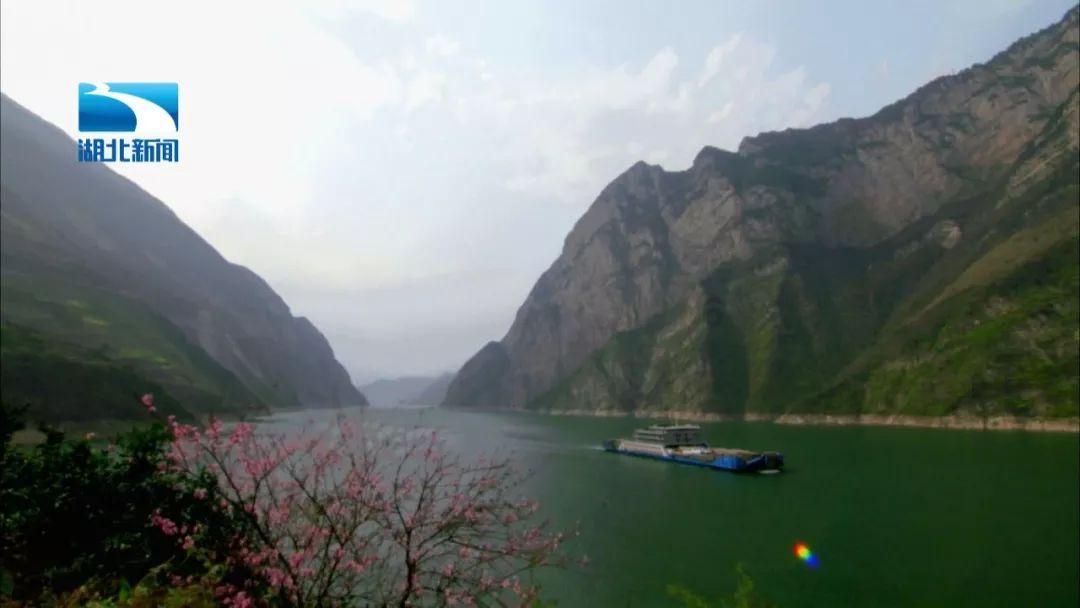 苹果提醒:Vision Pro在美国以外市场体验受限