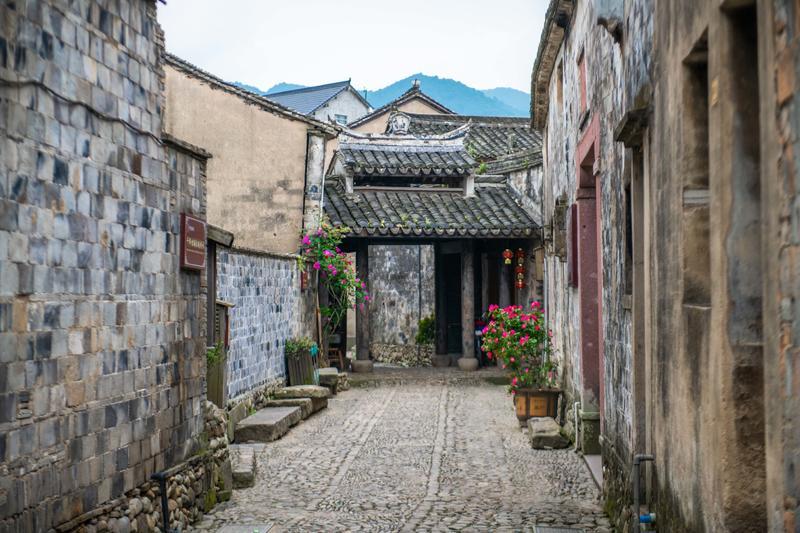 福建省人大代表吴志明：建议在“四大经济”架构中增设“健康经济”