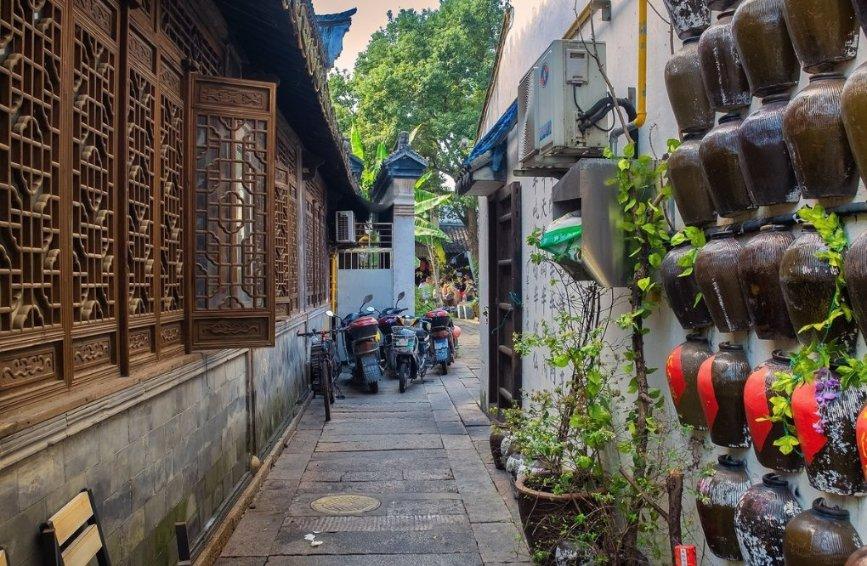 吃水果的蛇